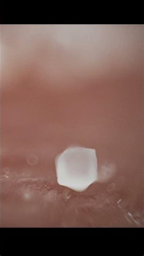 Salt Crystal Up Close | Microscopic Media
