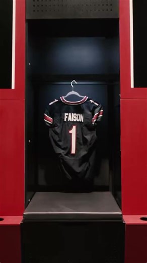 👀🏈🐔 | Gamecock Born & Bred