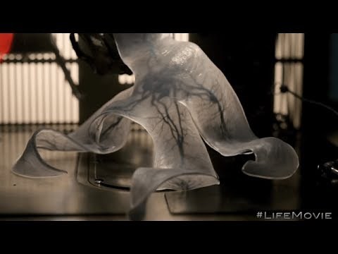 Life 2017 - Calvin The Baby Monster First Kill (Rory) FHD