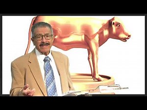 APOSTACIA E INTERCESION. LECCIÓN #11. PR. PEDRO CARRERA.