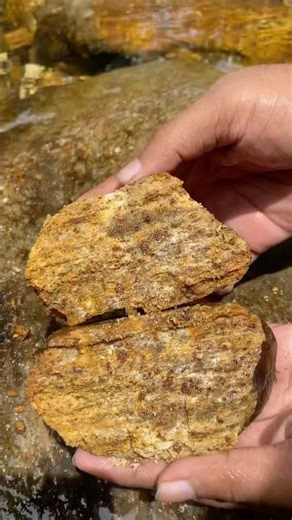 Ohh gold 😯🥇 #gold #goldmining #stone #quartz #viral #satisfying
