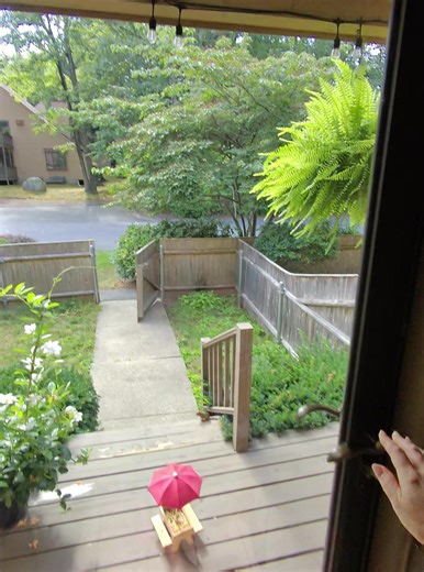 Back from vaca and we missed Theo sooo much! Thankfully our neighbor took care of him while we were gone 🫶🏻 #newenglandsummer #lunch #neighbors #foodie #chipmunks