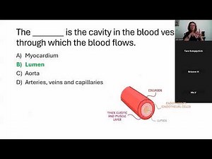 Dissecting MBLEx Questions SHORTIE
