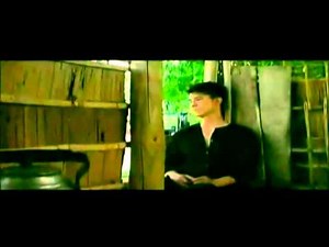 Gà trống nuôi con - Vân Quang Long