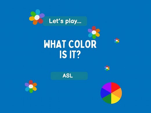 ASL Teddy Bear Color Match