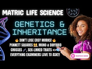 Life Science | Matric Exam Revision | Genetics & Inheritance (Grade 12 CAPS)