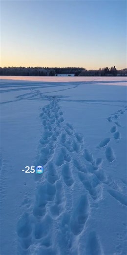 Ice Fishing in Finland: Tips and Highlights