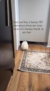 20K views · 95 reactions |  Sealing your RV might not work for bunny...