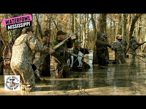 Hunting in the #1 Duck Hole in the Mississippi Delta