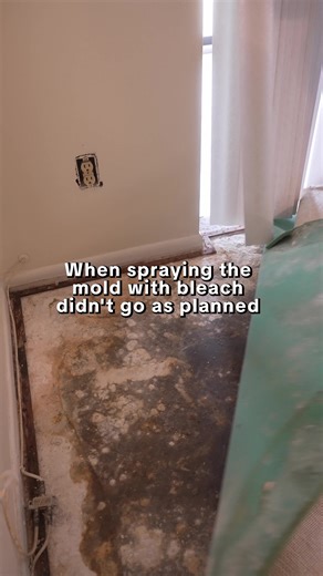 Dealing with Mold: My Bleach Spray Experiment
