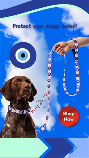 Your dog is a magnet for attention—and not all of it is good 👁️ Jealous stares. Negative energy. Side-eye from other dog parents. This evil eye collar & leash blocks it ALL. 3,000 years of ancient protection, now for your best friend. Because your pup deserves to walk through life unbothered 💙 Link in bio to protect your pack ✨ https://infinity-dog.com/products/evil-eye-dog-leash-collar-set-pink . #EvilEye #DogCollar #DogsOfInstagram #DogMom #DogReels #EvilEyeProtection #DogFashion #DogAccesso