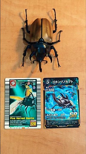 甲虫王者ムシキング X 蟲神器 - ゴホンヅノカブト #ムシキング #蟲神器 #カブトムシ