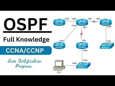 OSPF Routing Complete Guide And Advanced Lab With real Images ||A Big Lab For OSPF Routing | Live