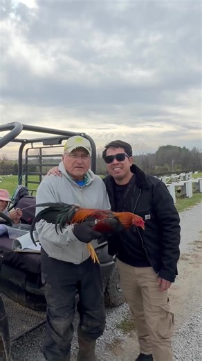 #dinkfair #gamefarm #sweater #rooster | sweater