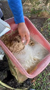 Así es la dieta 🧑‍🌾 | Los San Sanez SFC