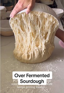 Forgotten Over-Fermented Sourdough Turned Out Perfect