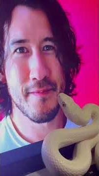 my snake tofu still hates markiplier #snake #reptiles #animals #pets #silly