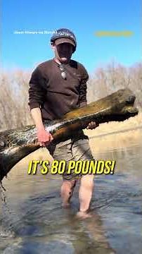 “Oh My God… It’s Real” — Man Finds Giant Mammoth Bone