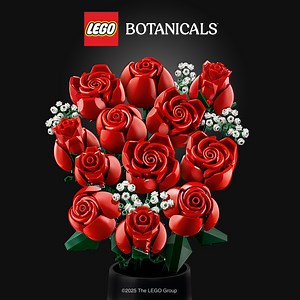Give a garden of forever flowers with our collection of LEGO Botanicals sets. | LEGO