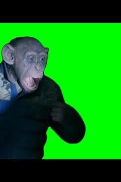 Oh no oh no !! Funny meme planet of the apes