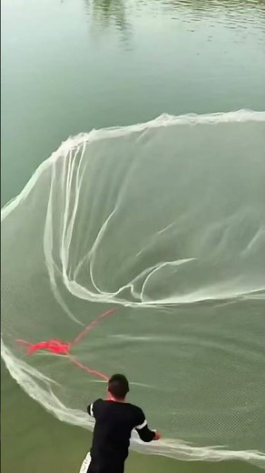 How to throw a cast net perfectly #fishing #tutorial #castnet