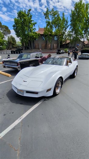 1981 Chevrolet Corvette – The Refined C3 Stingray Era,