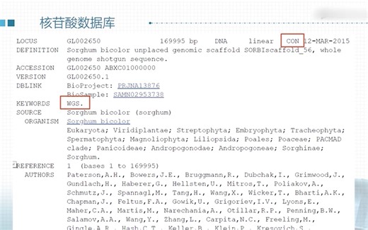 【生信】核苷酸数据库，Genbank,FASTA,EST,STS,GSS,HTGS,HTCS,WGS