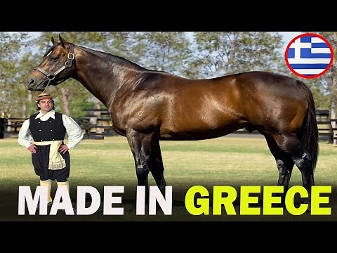 6 RARE Greek Origin Horse Breeds You Don't Know About!!