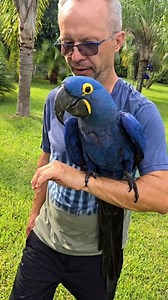 Love our birds.. #birds #love #parrots #macaws #rescue | Tropical Avian Oasis and Rescue