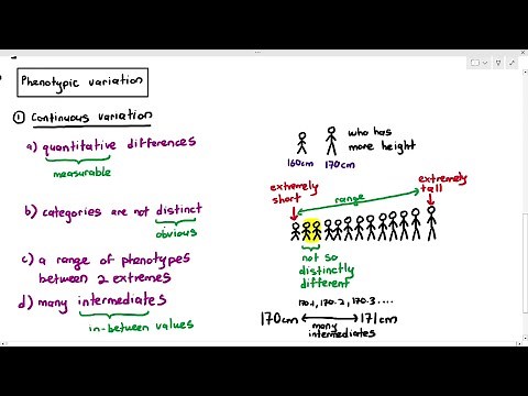 17-3 Continuous Variation (Cambridge AS A Level Biology, 9700)