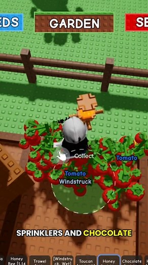 How to get Hundreds Of Cullinary Chest! #fypシ #growagarden #tanjiroplays #Roblox #gaming | ToshiBlox