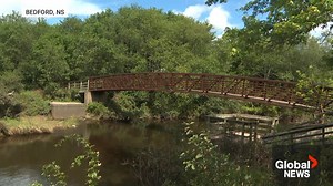 Calls for floodplain zoning around the Sackville River following N.S. floods