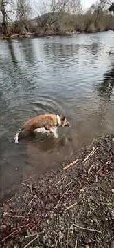 Learning to swim - Part 2