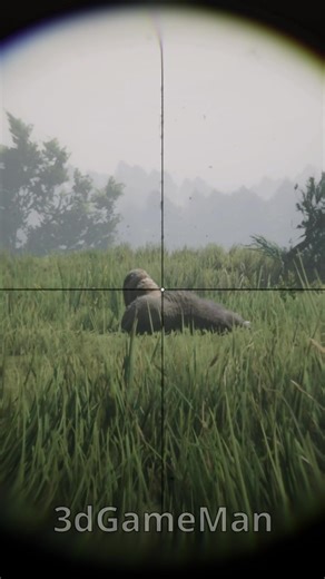 Perfect Kills (& Pelts) Compilation 3 - Red Dead Redemption 2 #RDR2 #reddeadredemption2 #pelts #hunt #3dgameman #rodneyreynolds