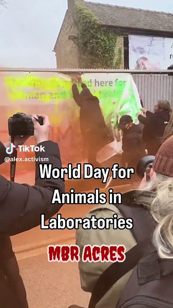 End Animal Testing: MBR Acres and Beagle Breeding