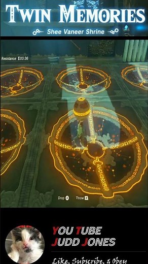 Shee Vaneer Shrine (Twin Memories) - Guide to Find ALL the Secrets in BOTW #botw #loz #zelda