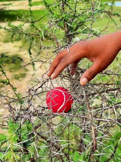 Survival Hacks for Camping: Essential Outdoors Skills