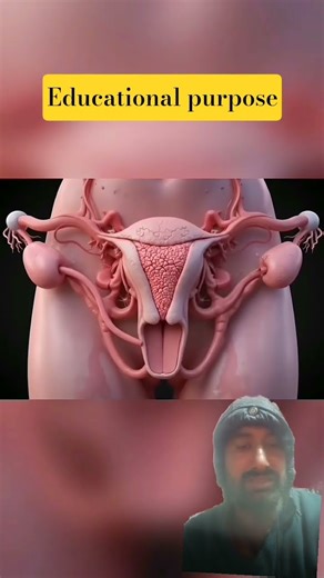 Menstrual Cycle Explained | Female Reproductive System (Educational Video #3danimation #digestivesy