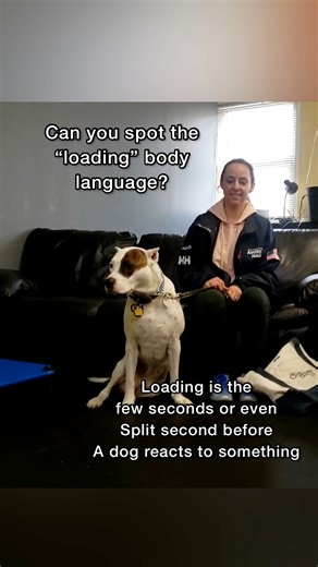 16K views · 151 reactions | Alright, body language experts! this is a...