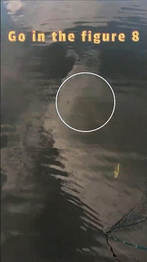 WATCH THIS Boatside Musky Strike Turn Into TOTAL CHAOS!!!