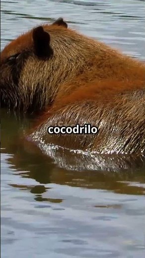 Capibara y Cocodrilo 🐊 | Un Encuentro Tranquilo en la Naturaleza #capibara #niños #entretenimiento