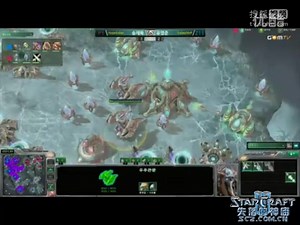 【笨哥解说】GomTv明星挑战赛 第8期