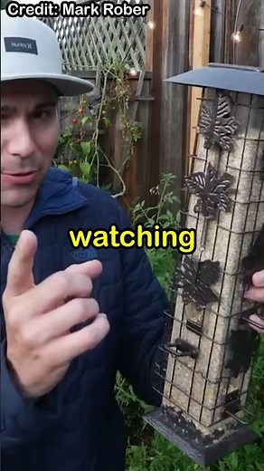 Can these squirrels complete an obstacle course? 🐿️🎉 (Day 5) #shorts #science #squirrel