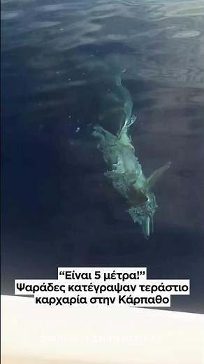 “Είναι 5 μέτρα!” Ψαράδες κατέγραψαν τεράστιο καρχαρία στην Κάρπαθο