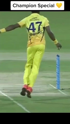 DJ Bravo Champion Special Highlights