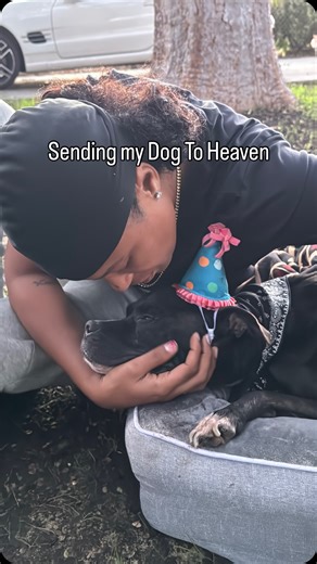 Ezee | Saying goodbye to you was one of the hardest things I’ve ever had to do. You weren’t just my dog you were my son, my best friend, my whole... | Instagram