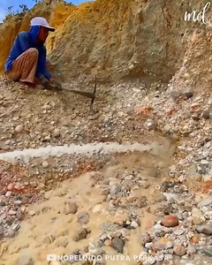 17M views · 46K reactions | Exploring the place until they find something valuable | Bloom | Facebook