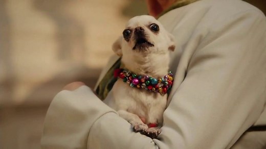 Heinz Ketchup TV Spot, 'Ed's Heinz Commercial' Featuring Ed Sheeran