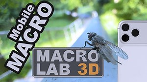 I was wondering what modern smartphones are capable of in terms of macro, and I accidentally shot a whole 10‑minute video. Detailed technical info and behind‑the‑scenes process of this video is available on Patreon. You can also access it through a one‑time payment in the shop. Entertain yourself while supporting my further developments at the same time! https://www.patreon.com/c/MacroLab3D 1-00:00 Root-maggot Flies Family Anthomyiidae, (iPhone 15 Pro) 2-00:16 Zebra Jumping Spider (Salticus scen