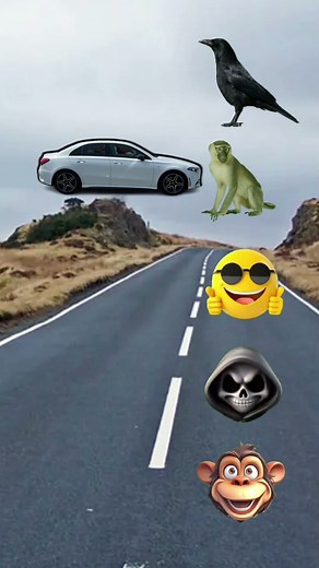 Crow, hen, parrot, bird & pigeon from head -Funny vfx magic